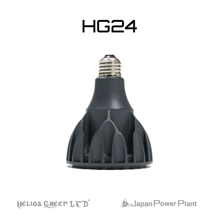 AG-AD-JPP-HG24